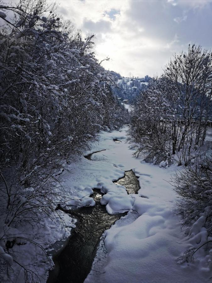 Apart Platzer Zell am Ziller Dış mekan fotoğraf
